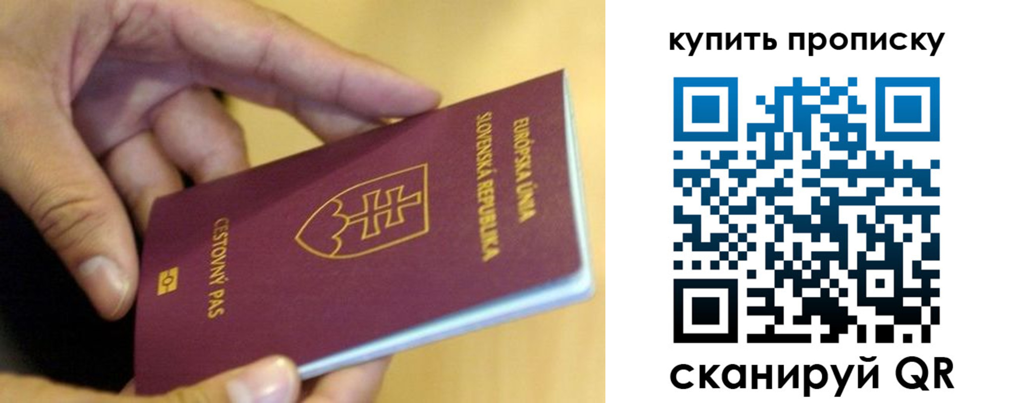 временная регистрация купить в Светлом